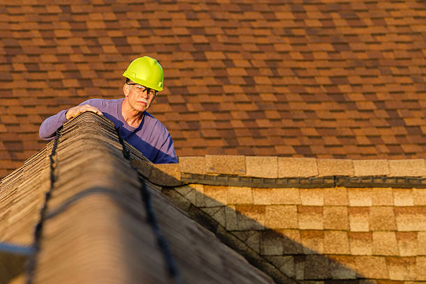 Best Residential Roof Replacement  in USA